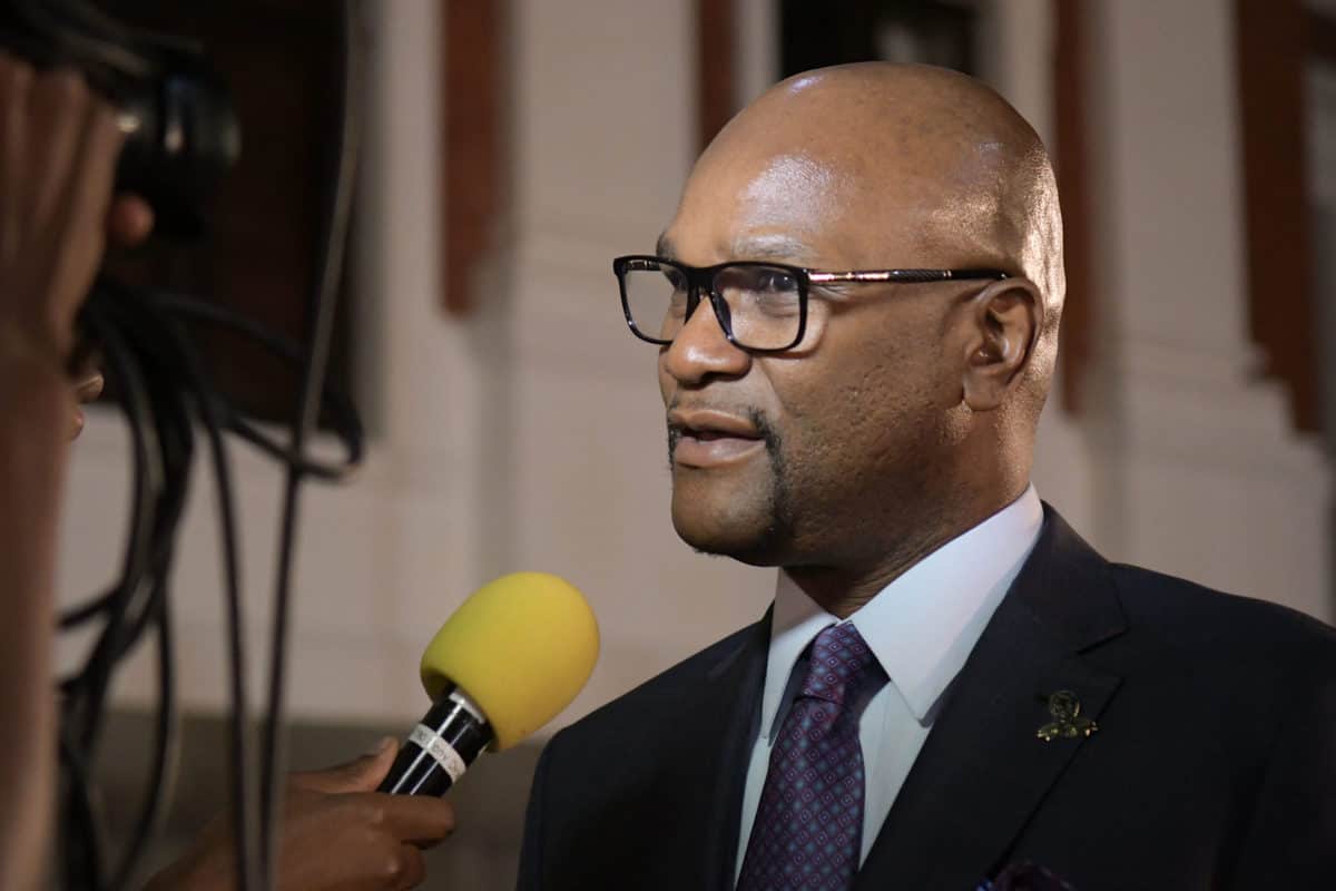 French and South African authorities probe Mthethwa’s fatal fall